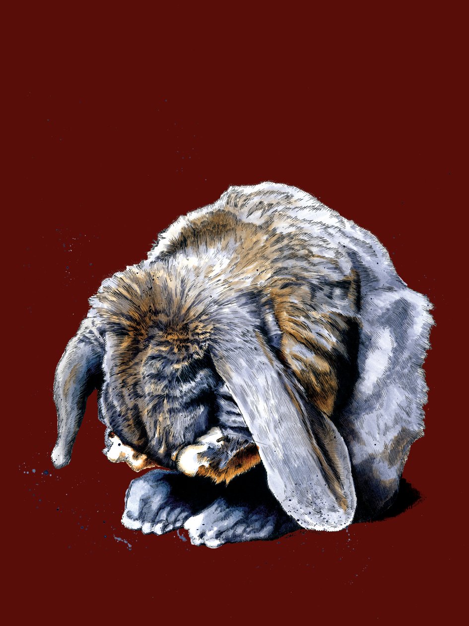 Kırmızı Oksit Üzerinde Tavşan Paws, 2020 by Mike Davis