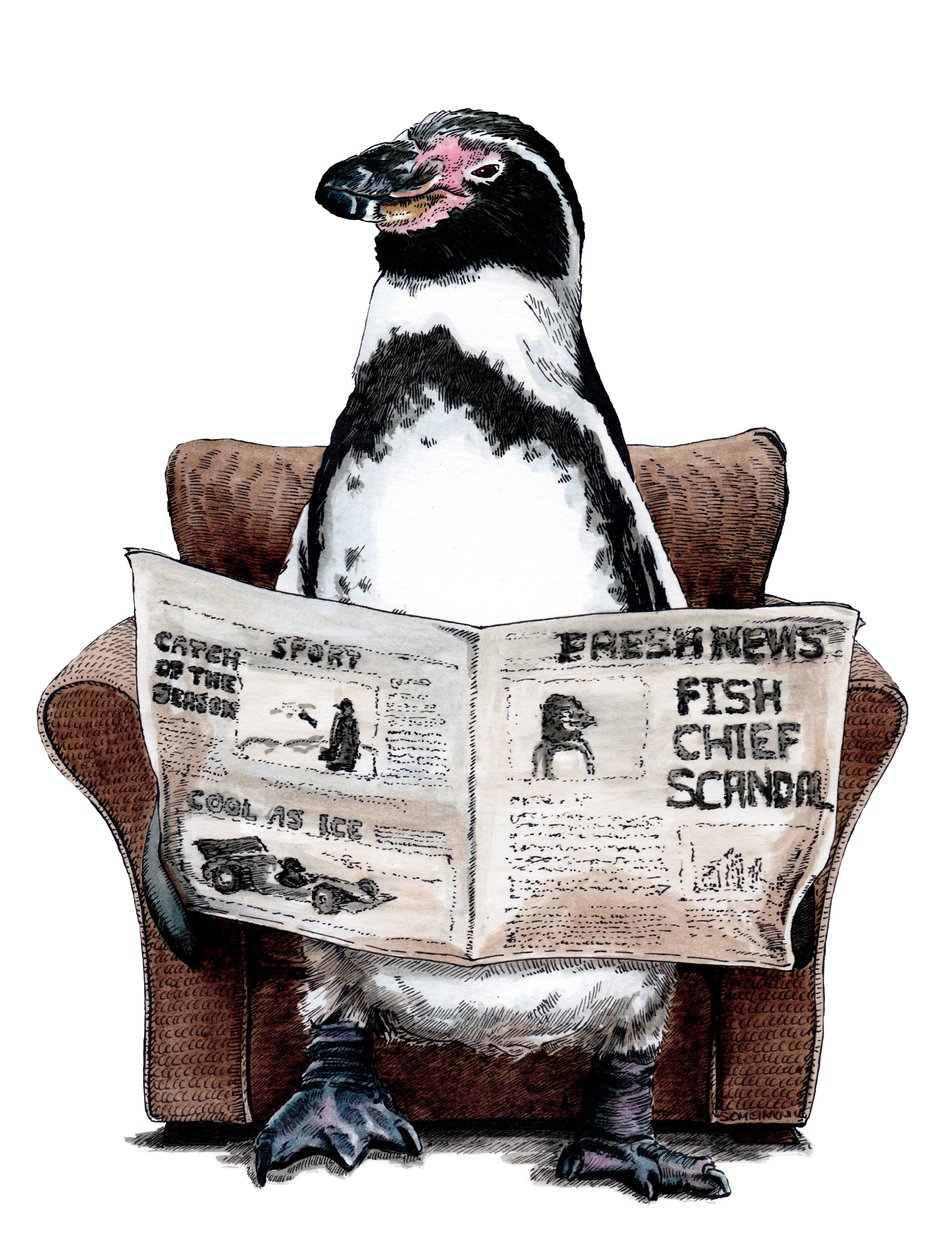 Beyaz Üzerine Emekli Penguen, 2020 by Mike Davis