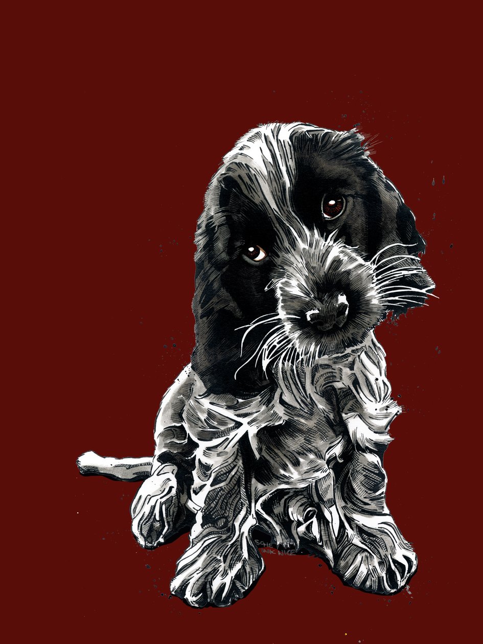 Rosie The Cocker Spaniel Red Oxide, 2020 by Mike Davis