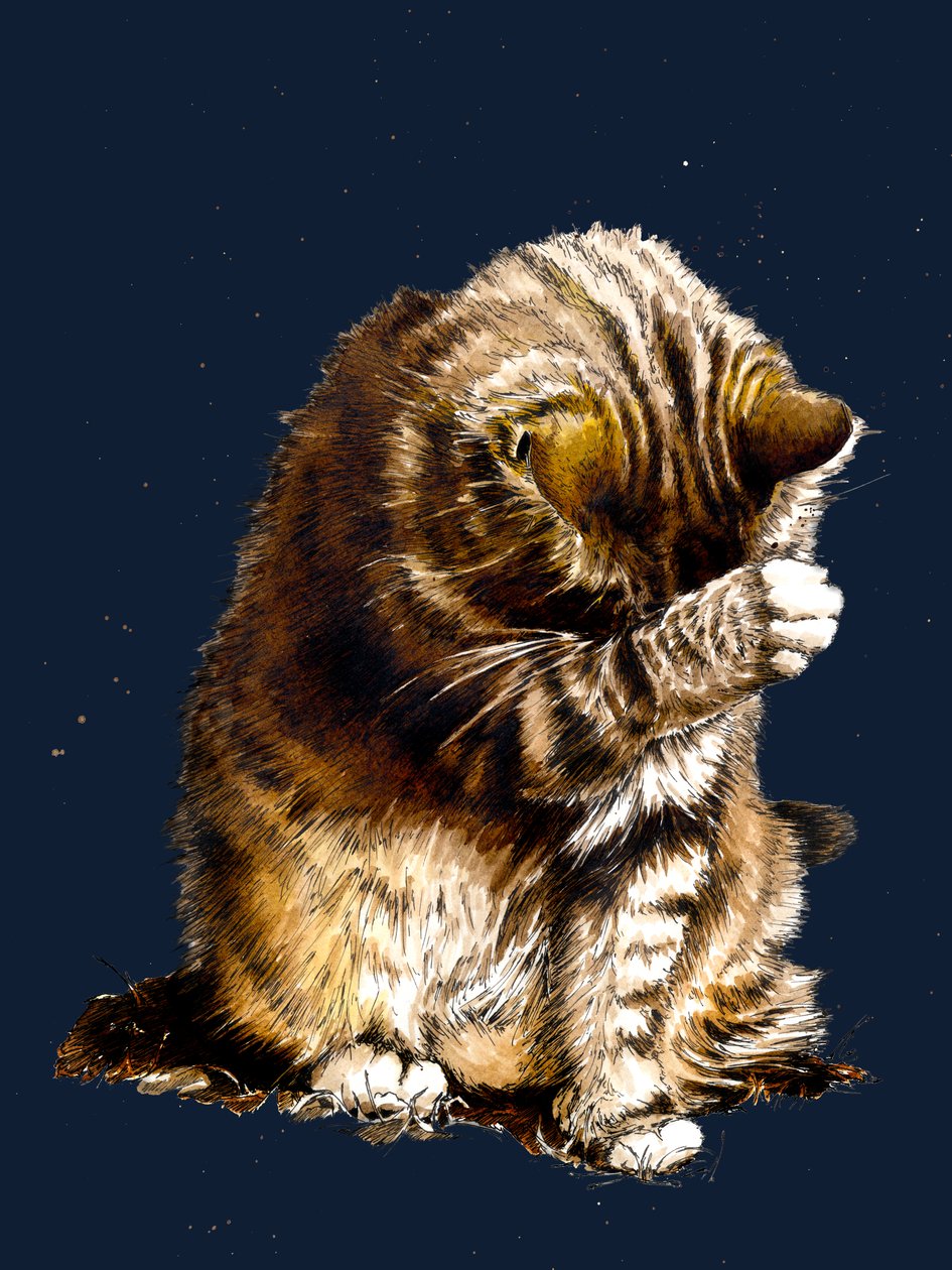 Smallfry The Cat Midnight Blue'da, 2020 by Mike Davis