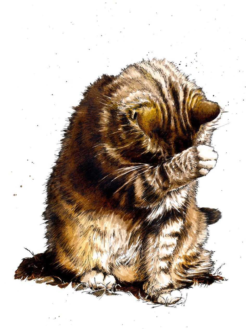 Smallfry Beyaz Üzerine Kedi, 2019 by Mike Davis