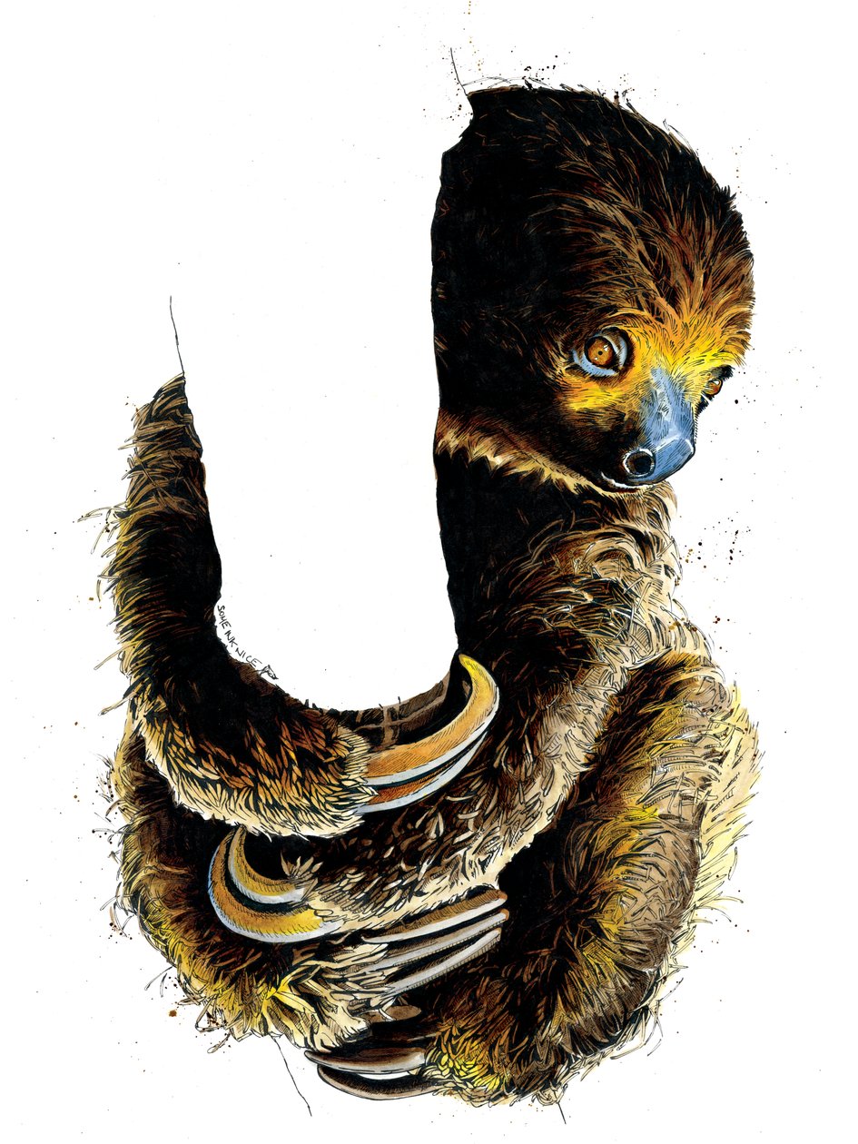 Beyaz Üzerine Tembel Talita, 2019 by Mike Davis