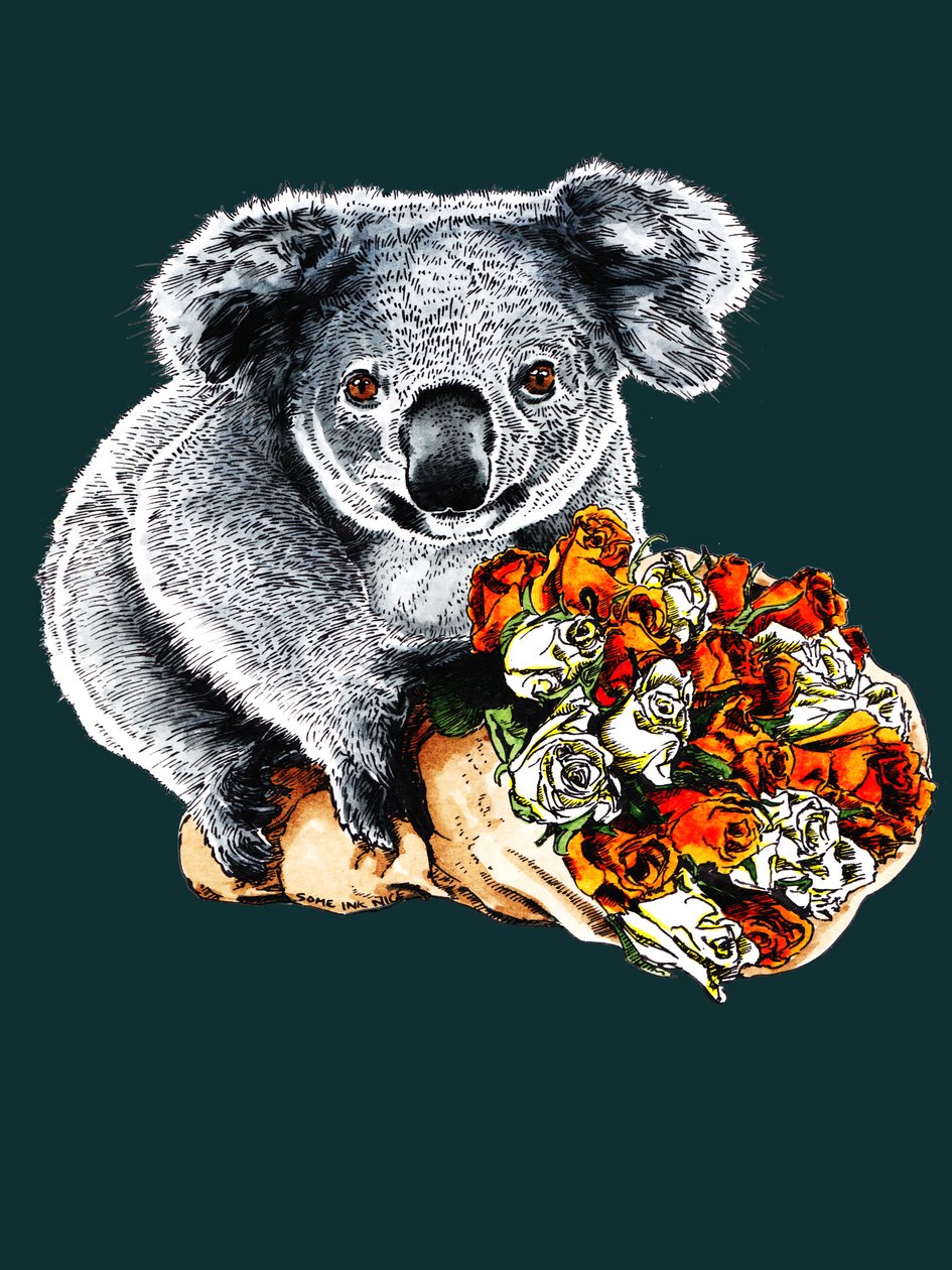 Deep Cyan, 2020 için teşekkürler Koala by Mike Davis