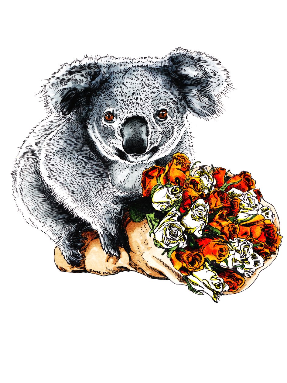 Teşekkürler Koala, Beyaz, 2020 by Mike Davis