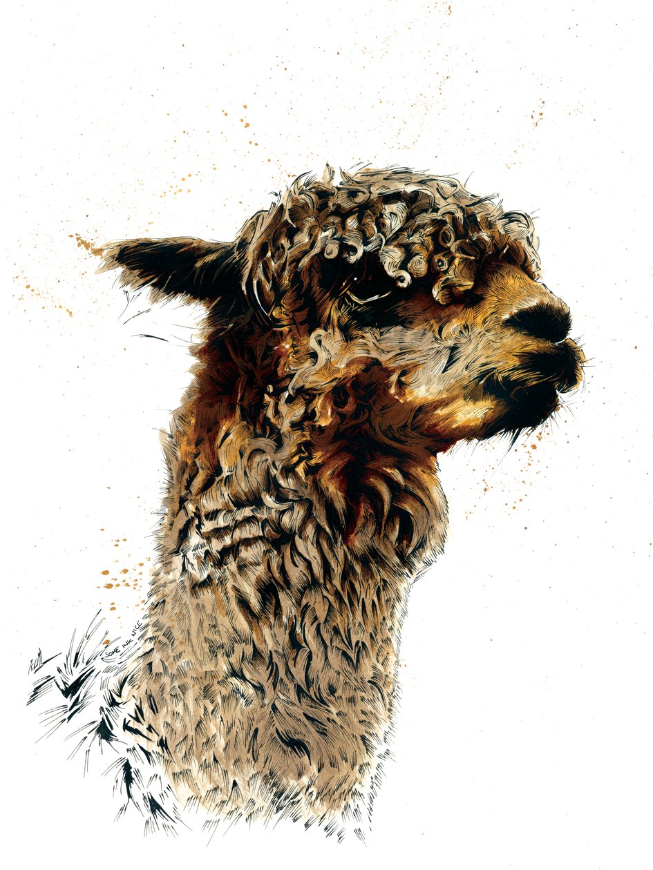 Beyaz Üzerine Alpaka, 2019 by Mike Davis