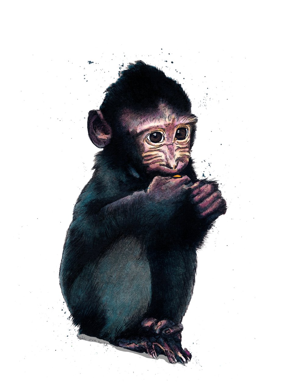 Beyaz Üzerine Bebek Makak, 2020 by Mike Davis