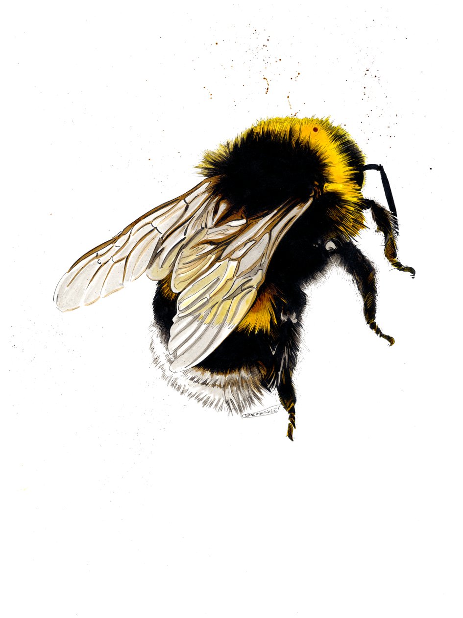 Beyaz Arı, 2019 by Mike Davis