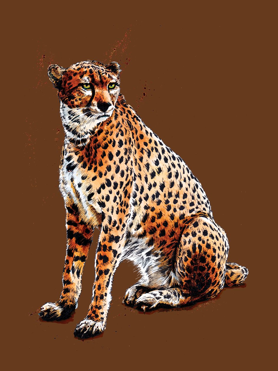Burnt Orange'daki Çita, 2020 by Mike Davis