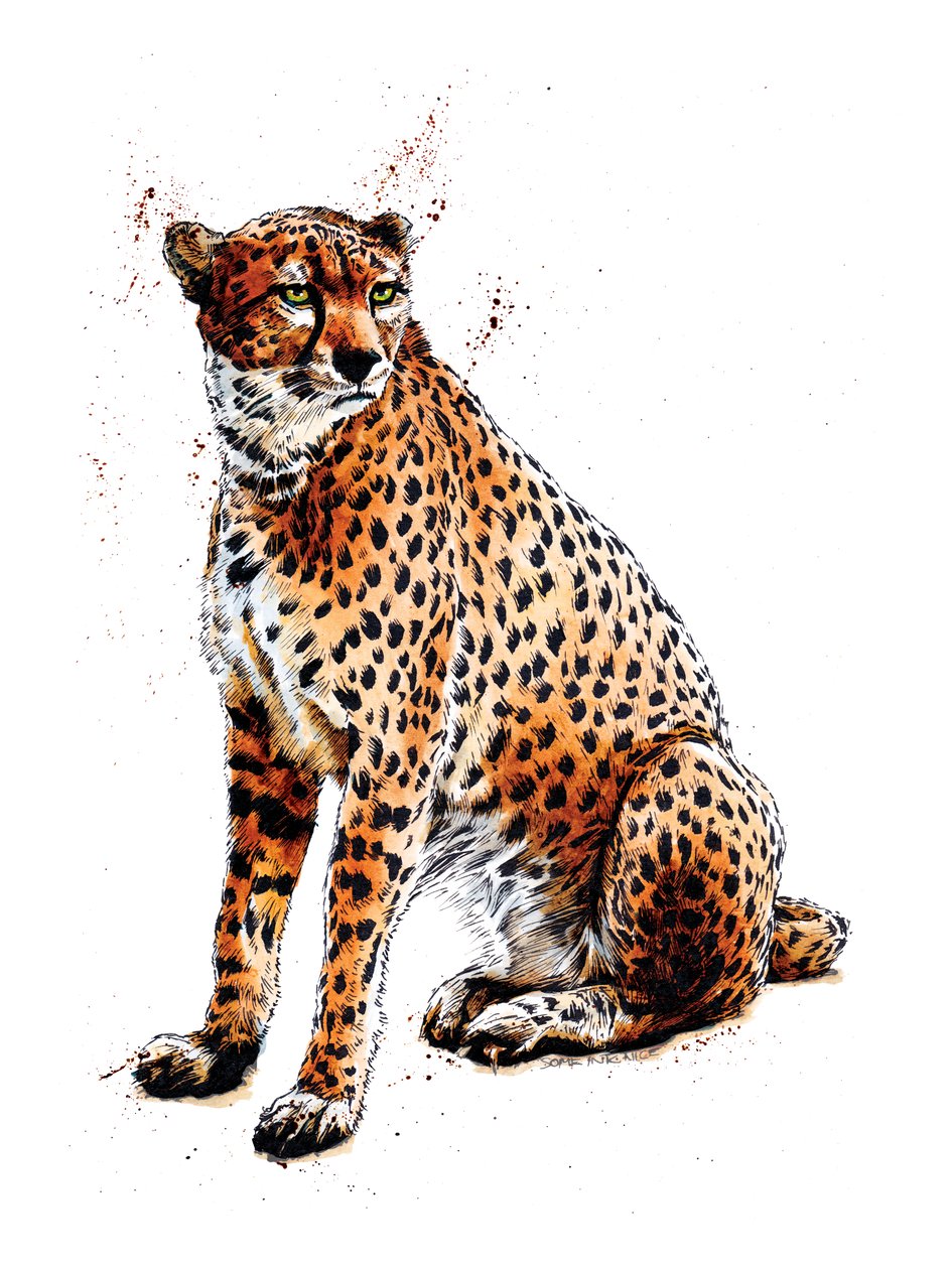 Beyaz Çita, 2020 by Mike Davis
