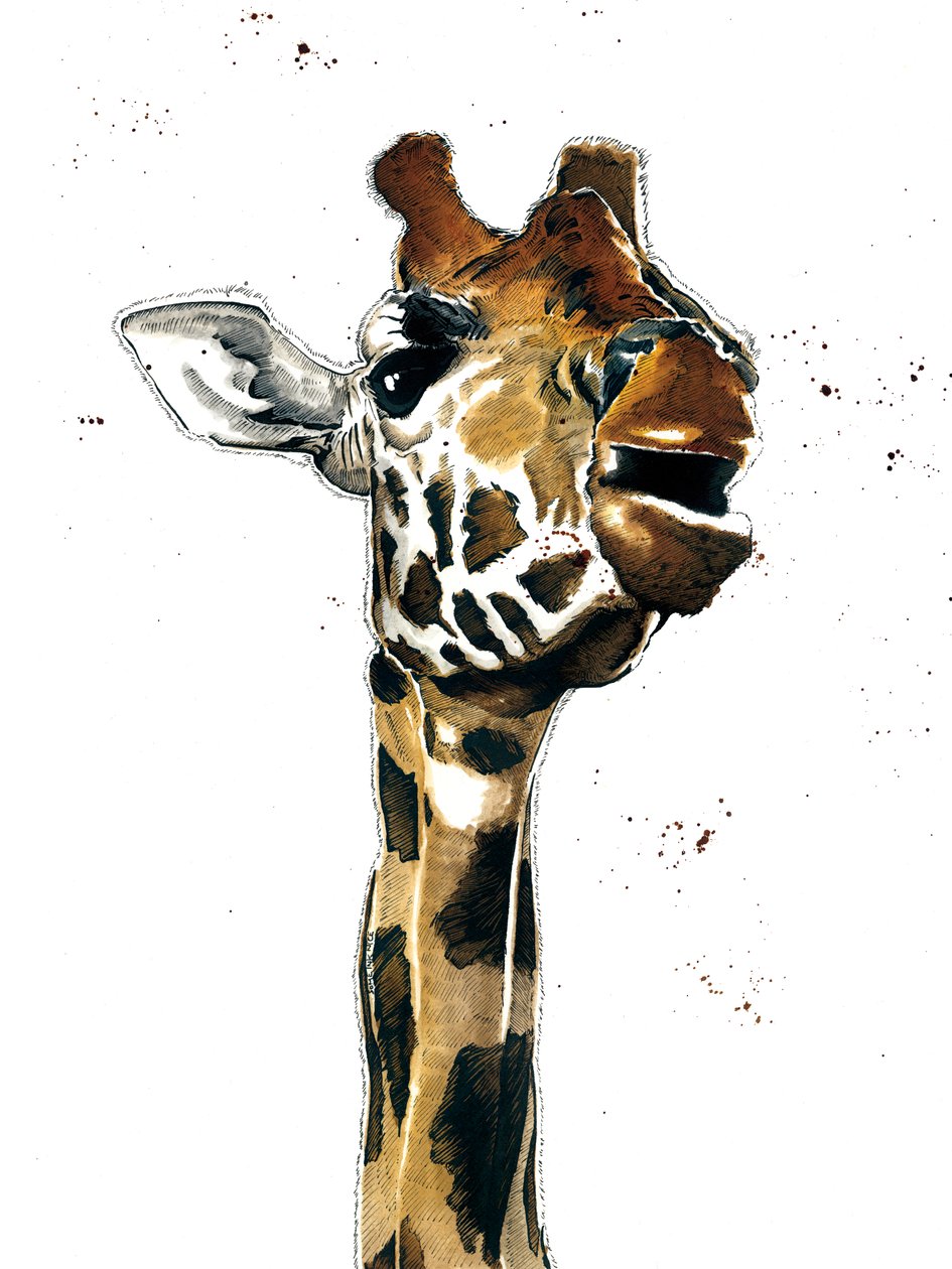 Beyaz Üzerine Zürafa, 2019 by Mike Davis