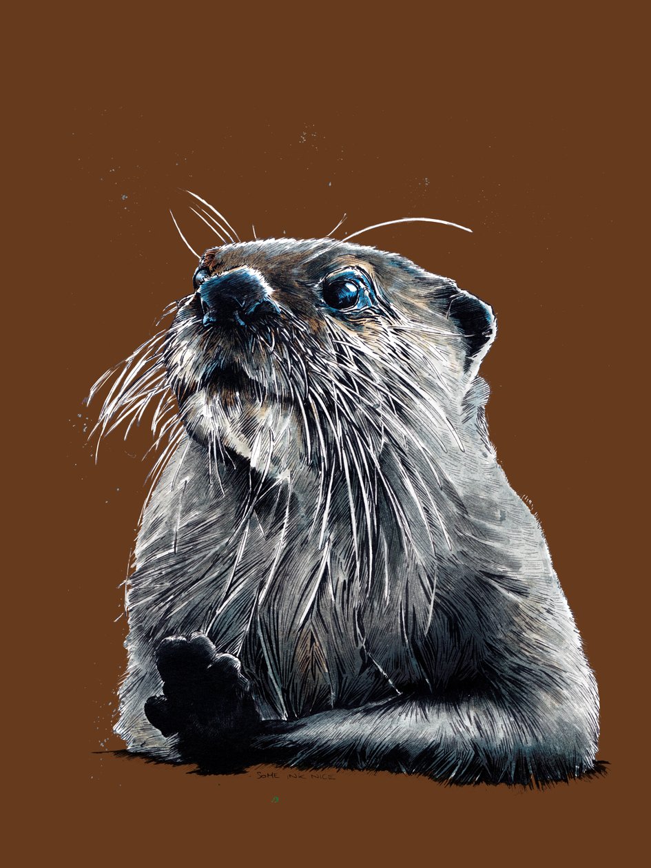 Burnt Orange'da Otter, 2020 by Mike Davis