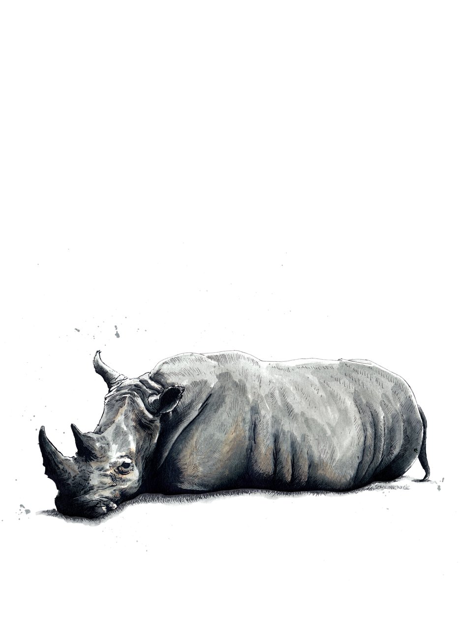 Beyaz Üzerine Gergedan, 2019 by Mike Davis