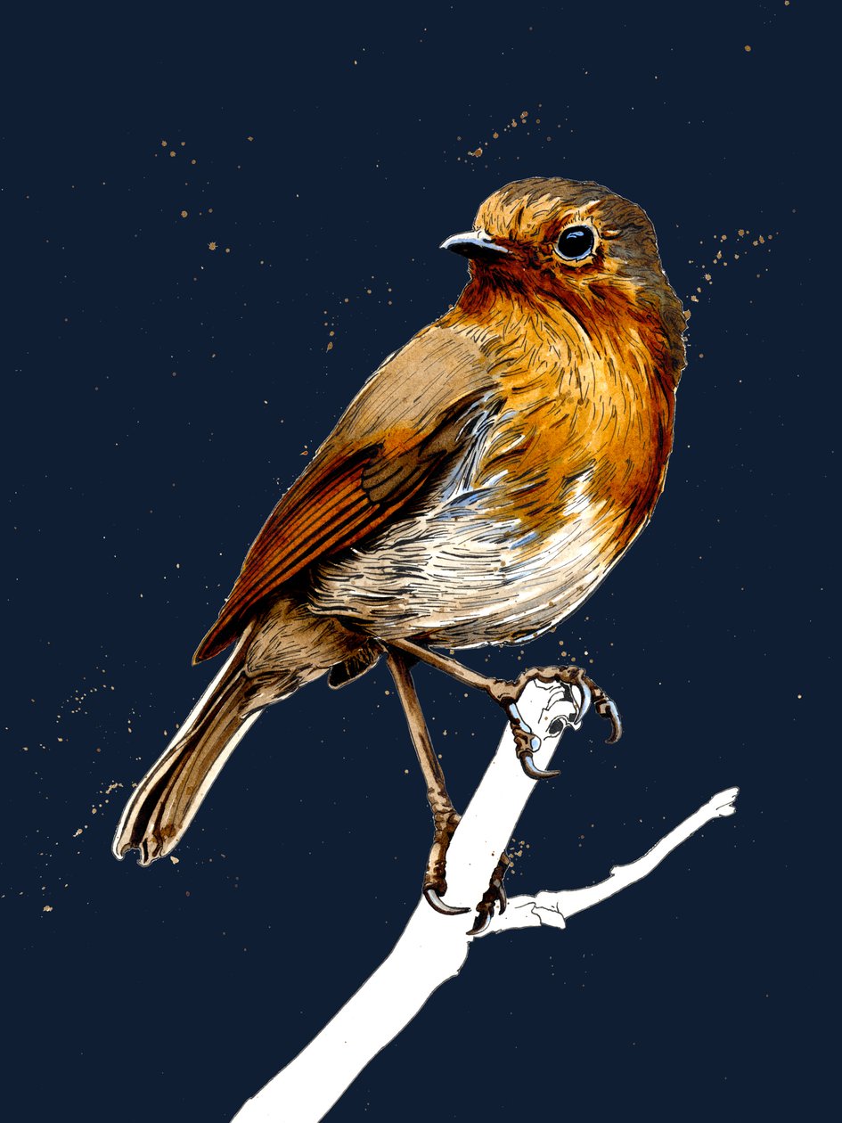 Gece Mavisi'ndeki Robin, 2020 by Mike Davis