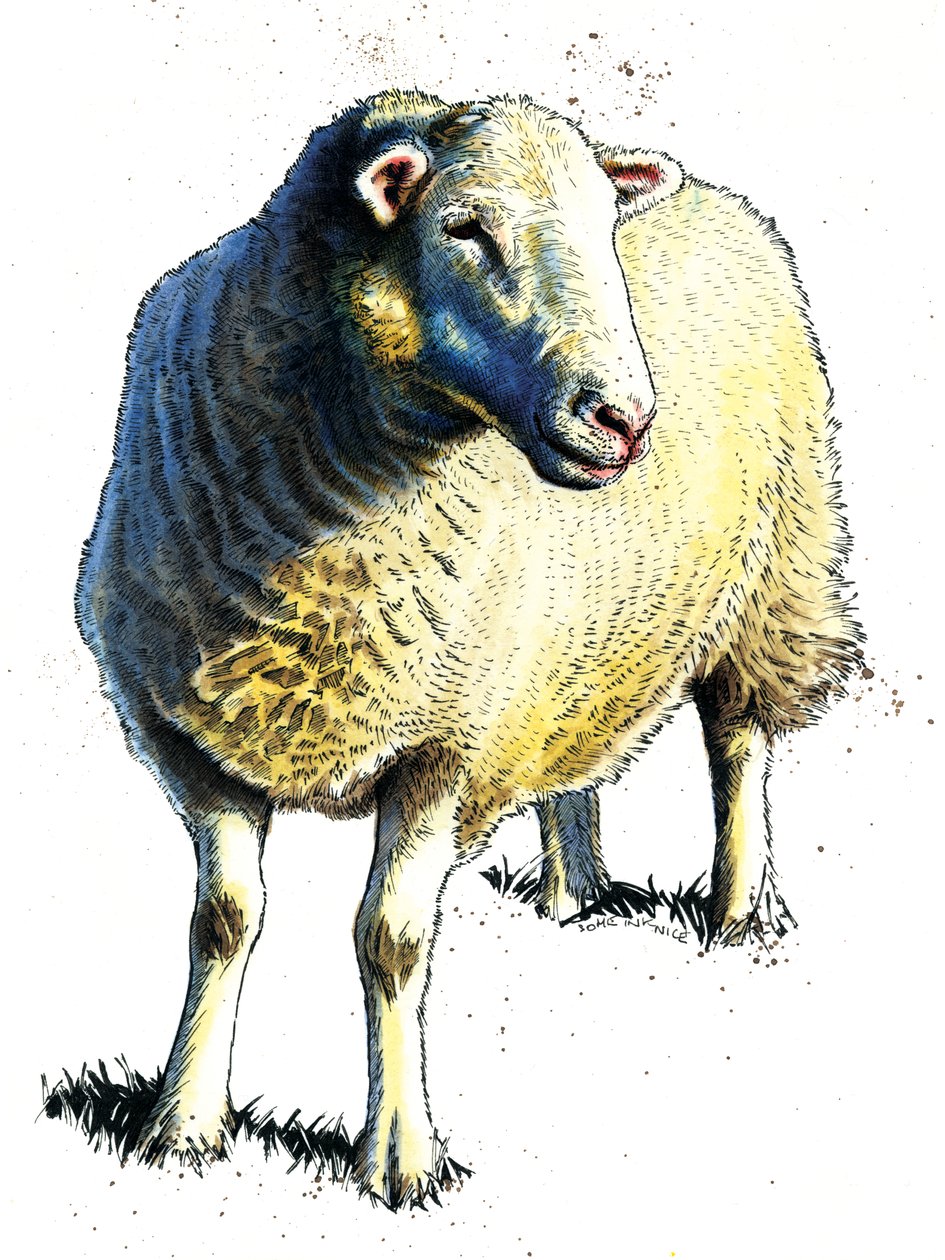 Beyaz Üzerine Koyun, 2020 by Mike Davis