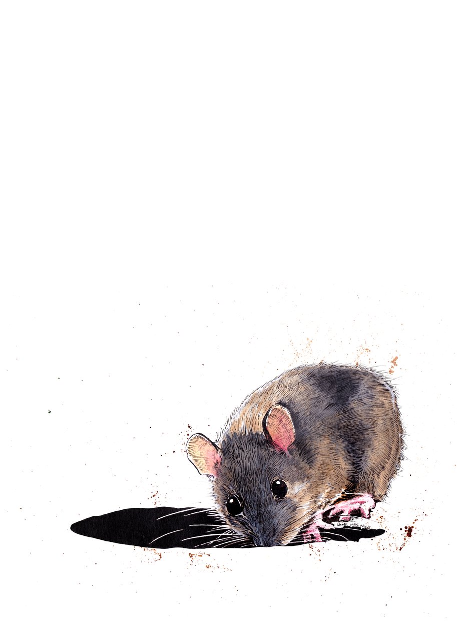 Beyaz Üzerine Tahta Faresi, 2019 by Mike Davis