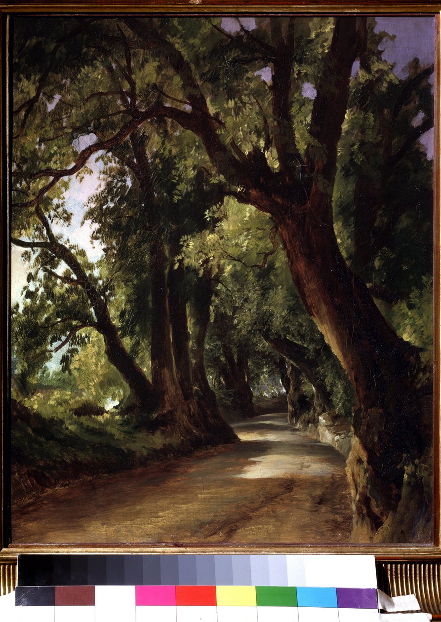 Roma (İtalya) yakınlarındaki Albano