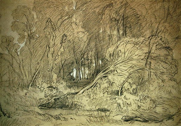 Ahşapta Bir Temizleme (kağıt üzerinde siyah beyaz tebeşir) by Miles Edmund Cotman