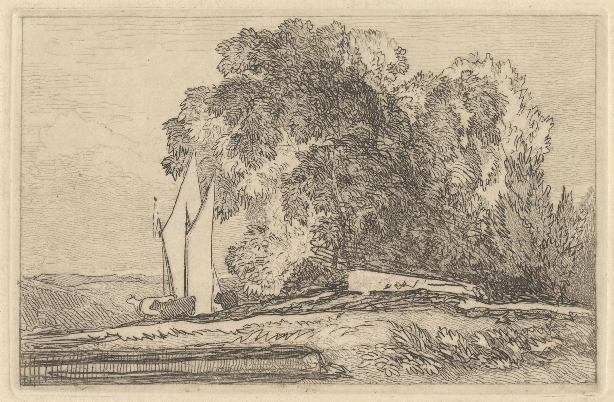 Yare Kıyılarındaki Ağaçların İncelenmesi by Miles Edmund Cotman