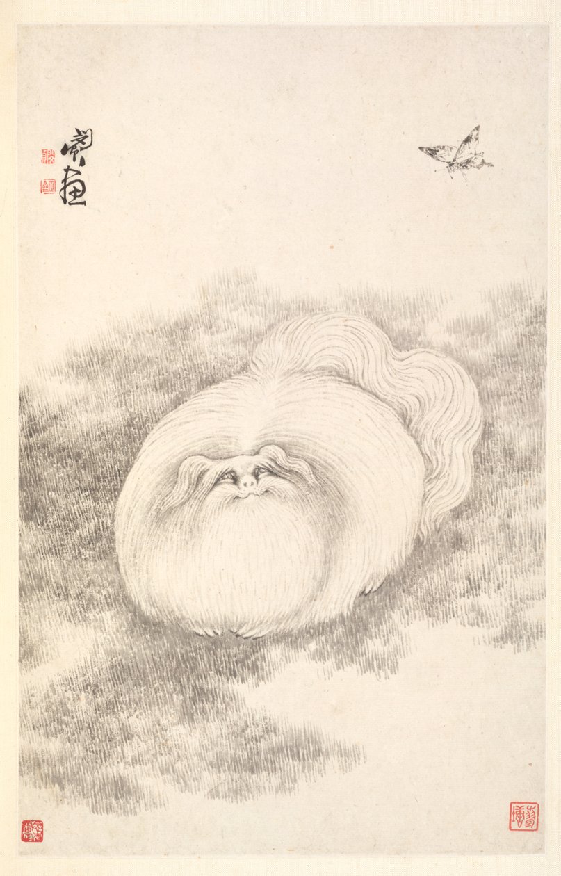 kedi ve kelebek by Min Zhen