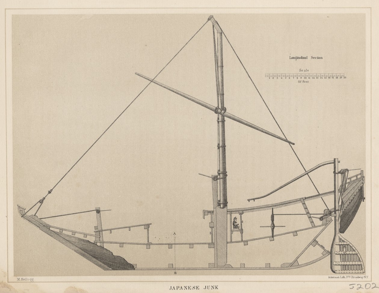 Japon Hurdası, 1855 by Miner Kilbourne Kellogg