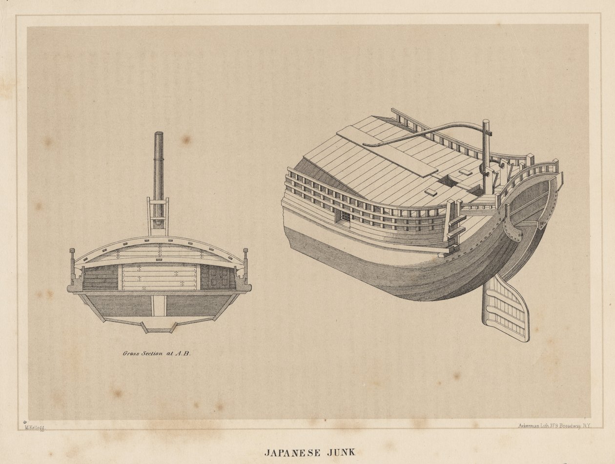 Japon Hurdası, 1855 by Miner Kilbourne Kellogg