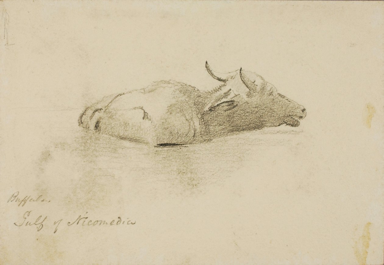  by Miner Kilbourne Kellogg