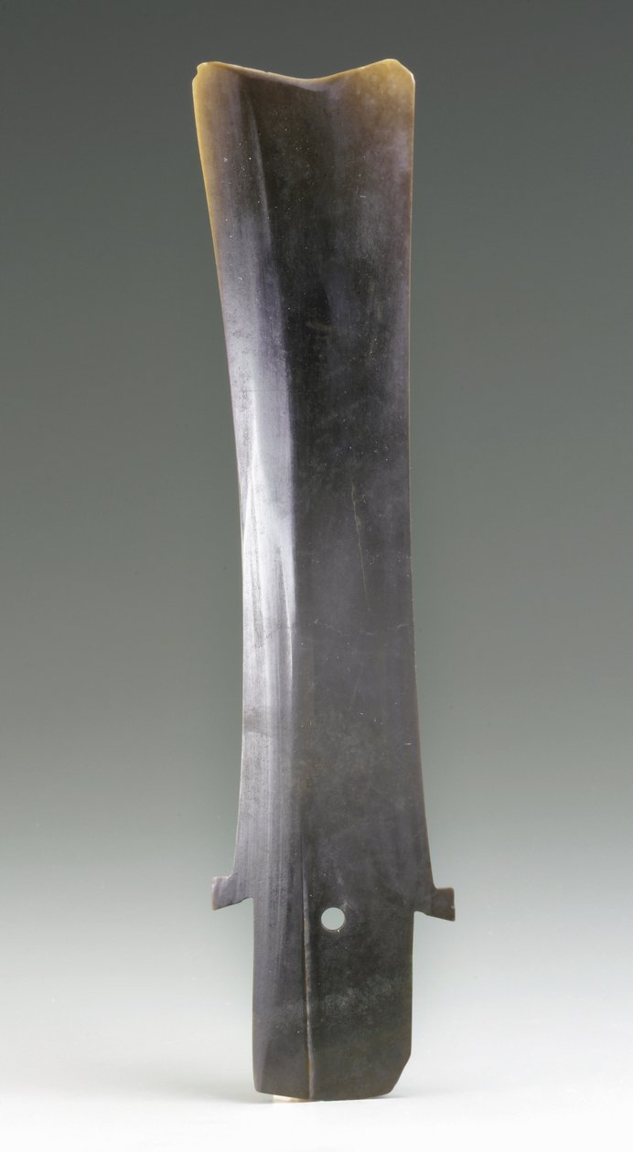 Kuşlar ve çiçekler, 15-16. yüzyıl by Ming Dynasty Chinese School