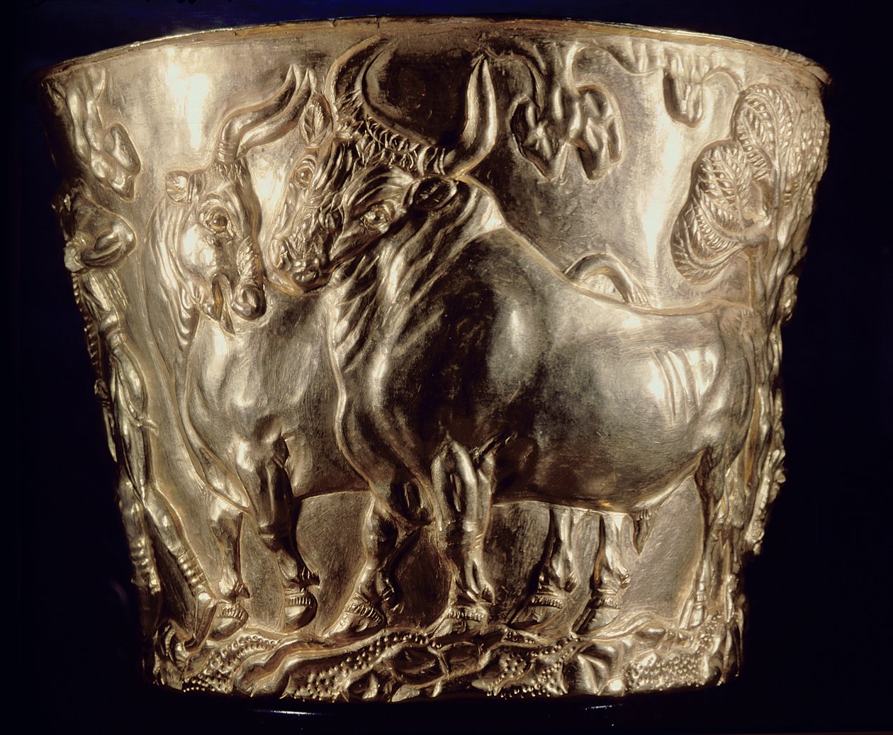 Vaphio, Sparta, geç Minos I, c.1500 MÖ (altın) kraliyet mezarında bulunan evcil bir boğayı betimleyen kupa (ayrıca bkz. 148825) by Minoan