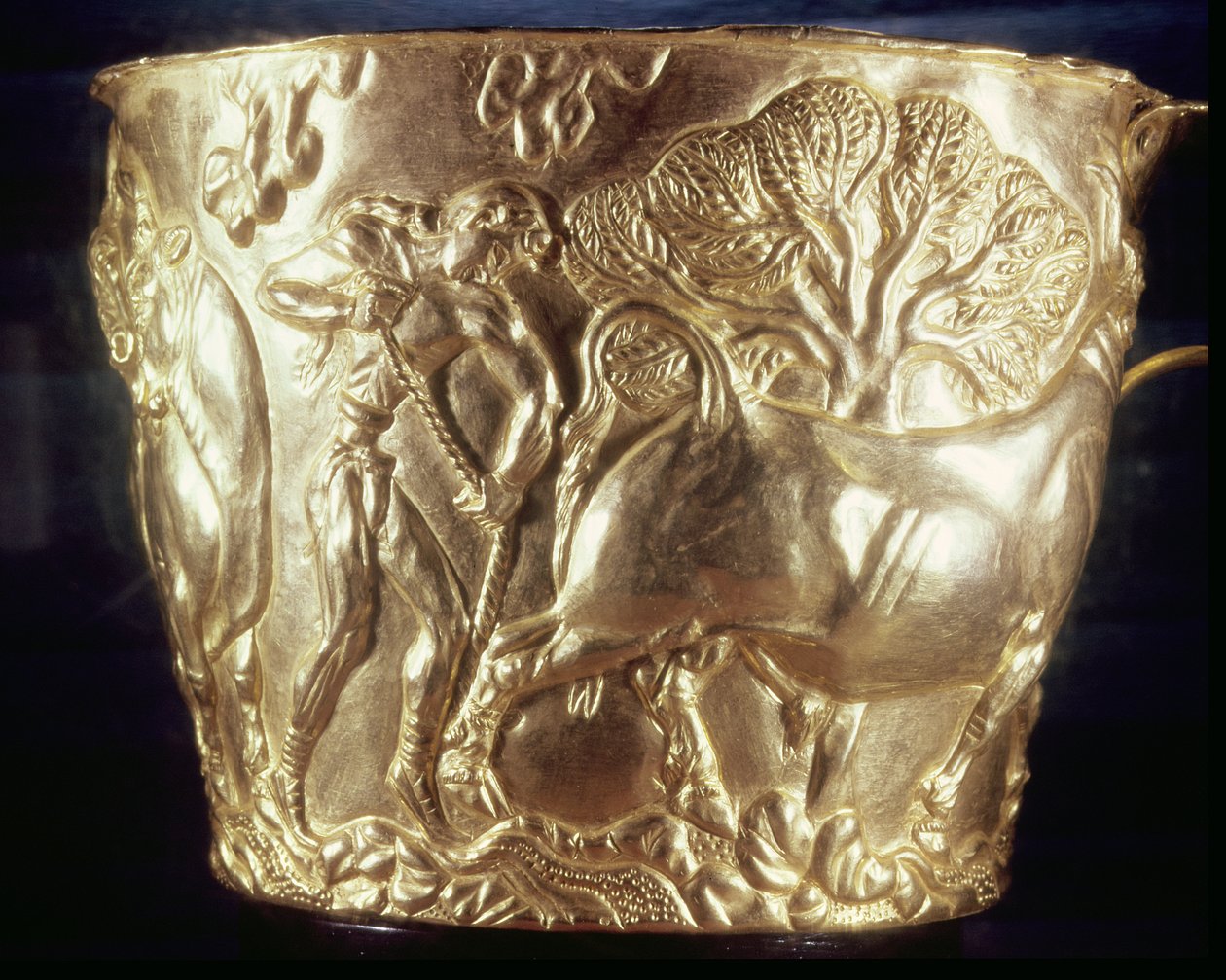 Vaphio, Sparta, geç Minos I, c.1500 MÖ (altın) kraliyet mezarında bulunan evcil bir boğayı betimleyen kupa (ayrıca bkz. 155940) by Minoan