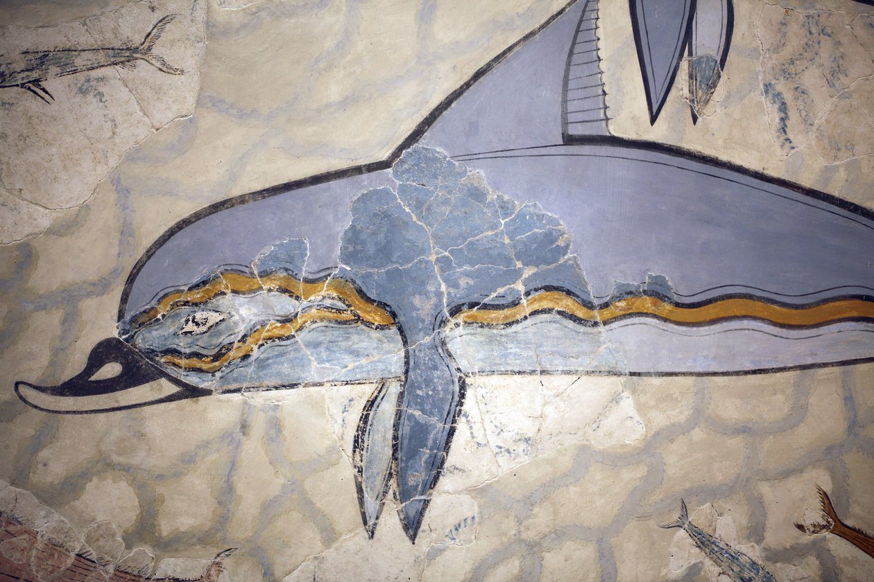Minos sanatı. "Yunus Fresk". Fresk, Kraliçe megaronunun üzerindeki bir Salonun duvarını veya zeminini süsledi. Knossos'ta (MÖ 1600 - 1450) bulunan orijinal eserin parçalarından yeniden oluşturulmuş fresk. Arkeoloji müzesi, Herakleion, Girit. by Minoan