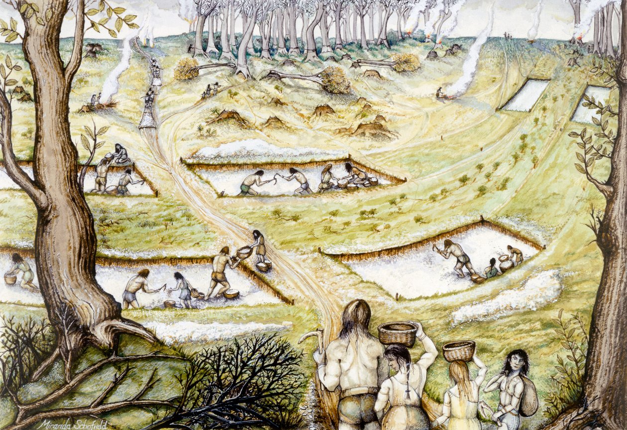 Savunma hendekleri kazma, MÖ 5. yy, 1990-2010 yılları by Miranda Schofield