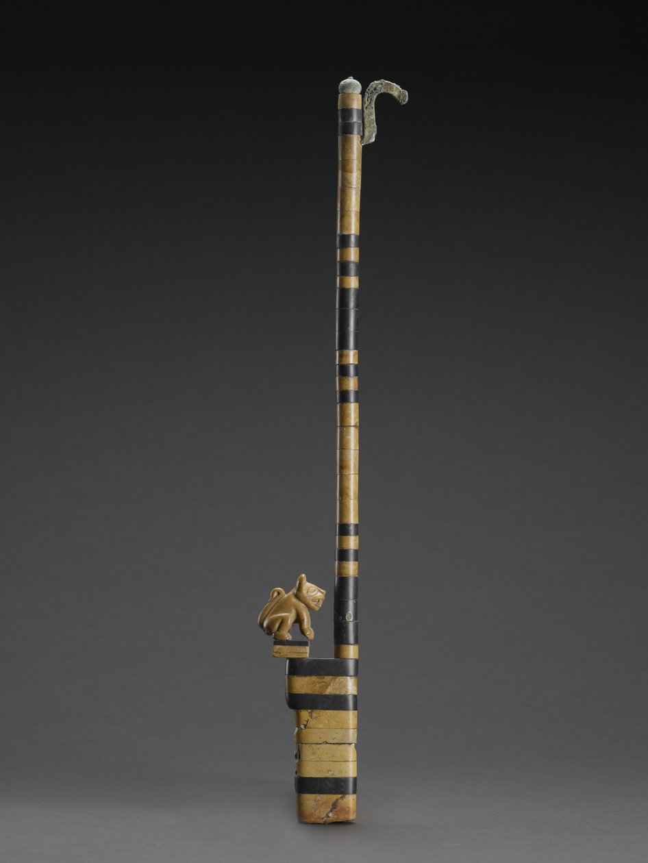 Kedi ile Atlatl by Moche Moche