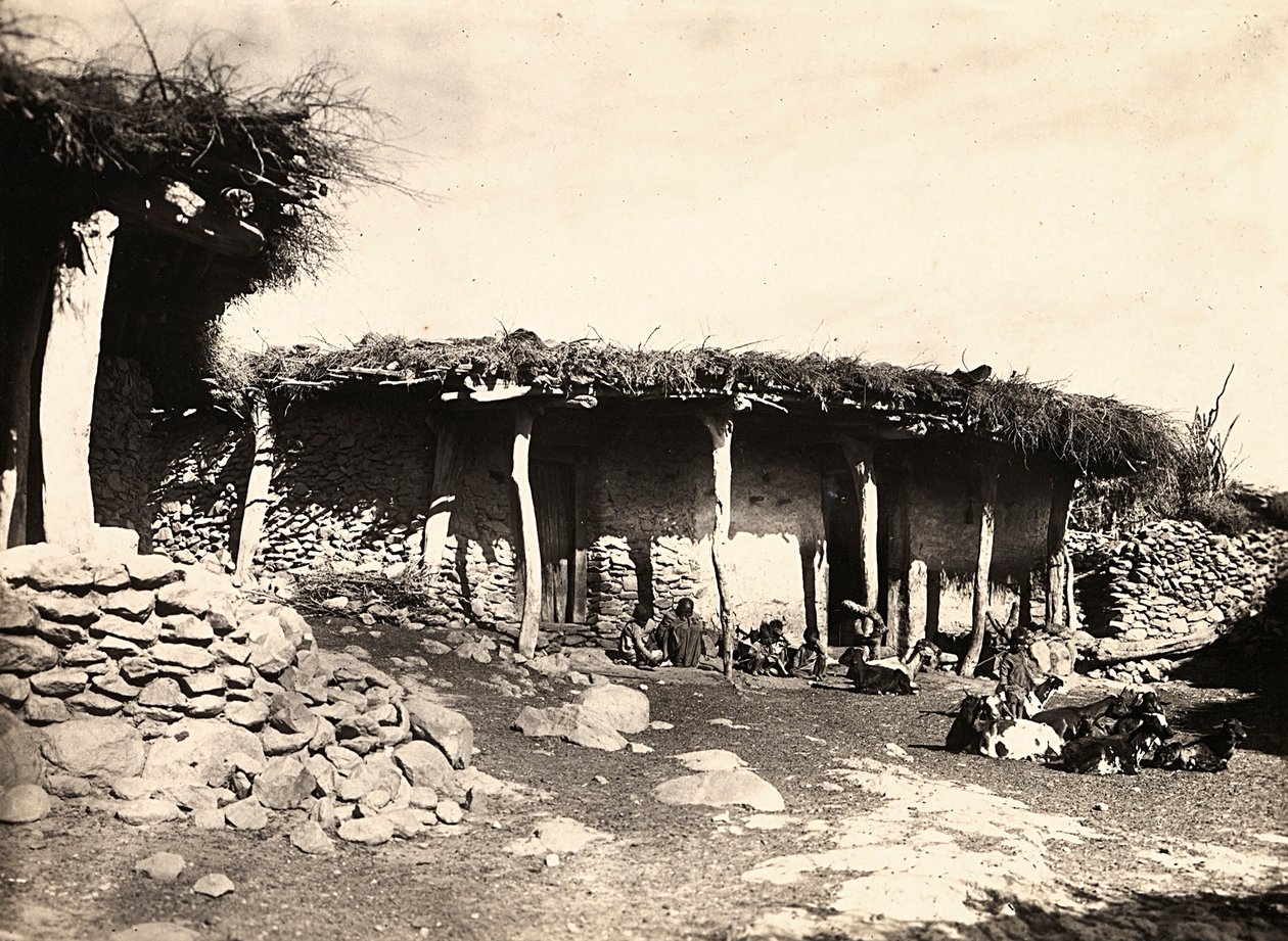 Faşist çağda 