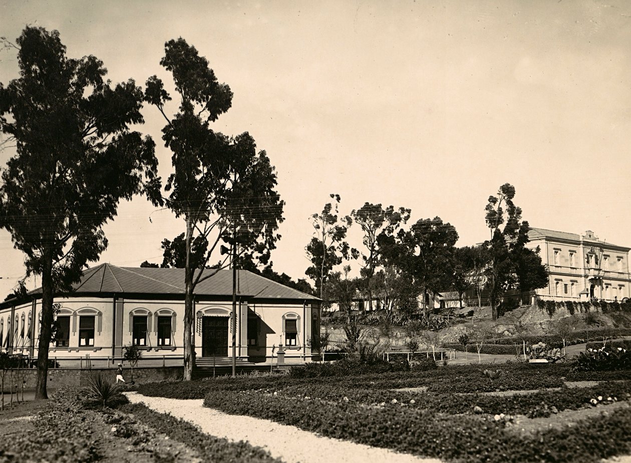 Faşist çağda 