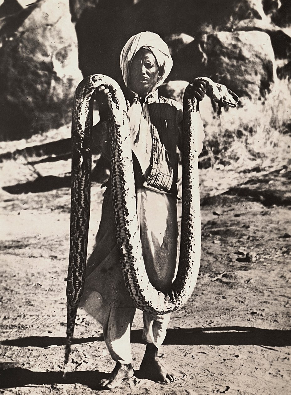 Faşist çağda 