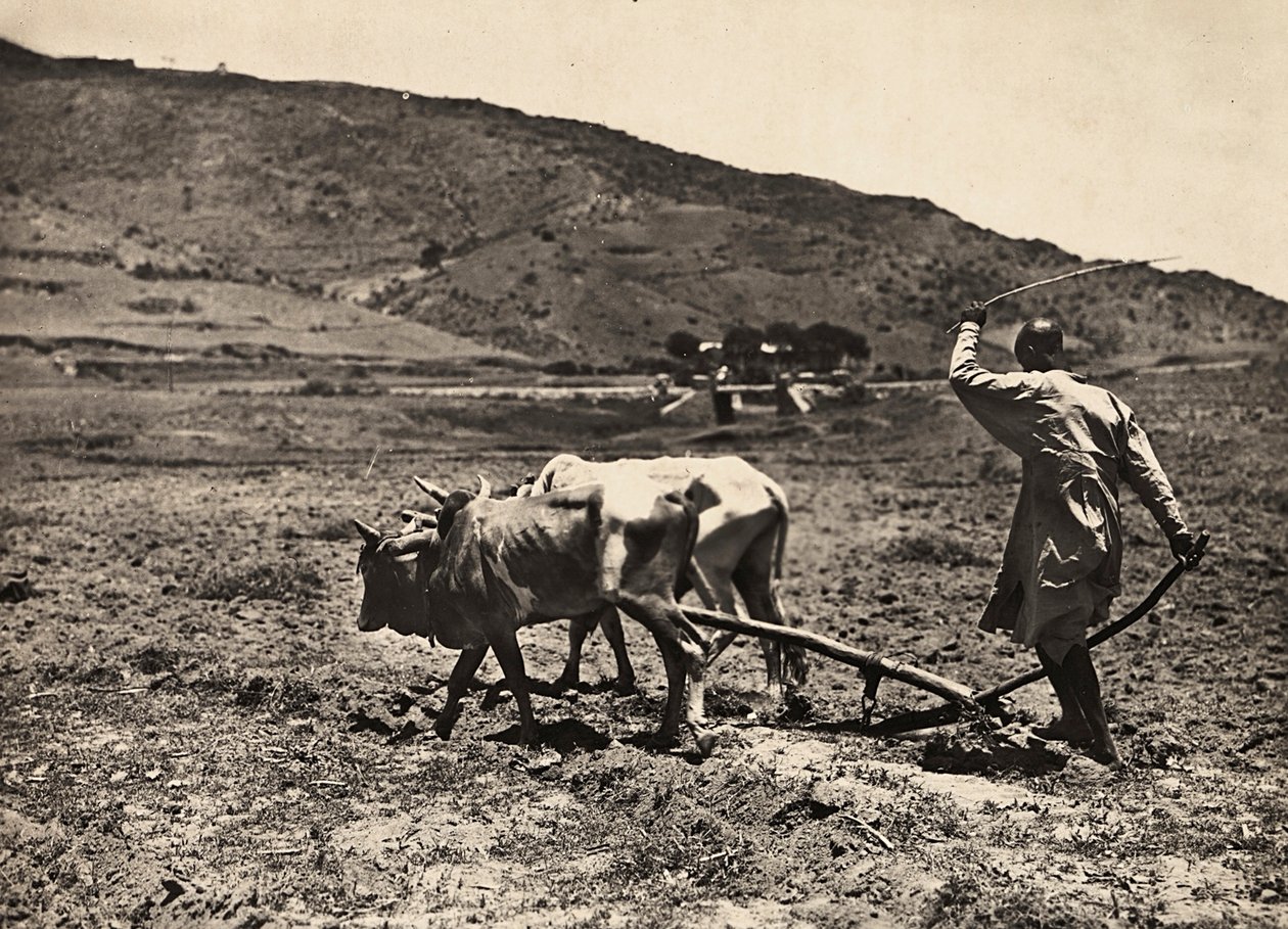Faşist çağda 