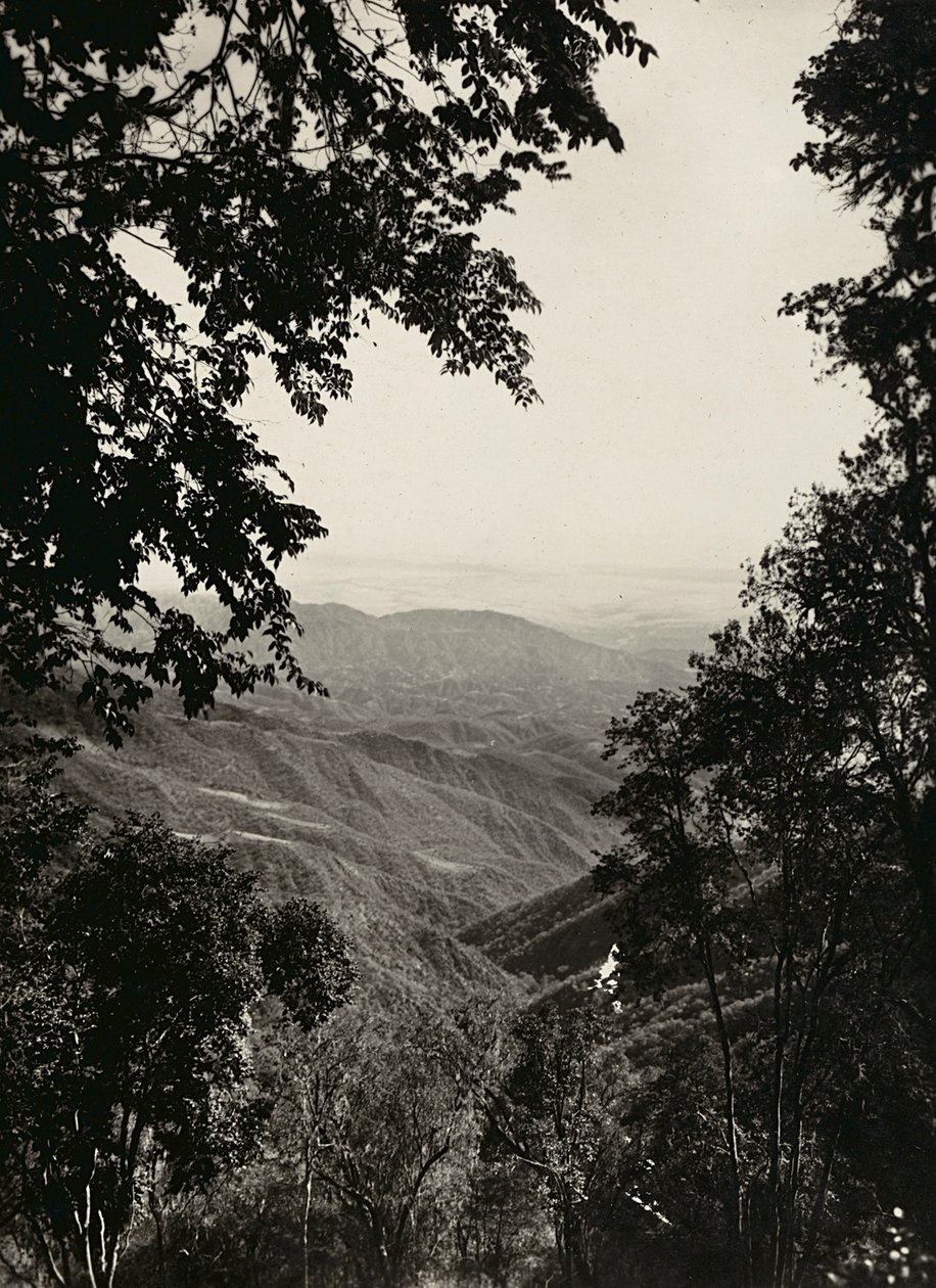 Faşist çağda 