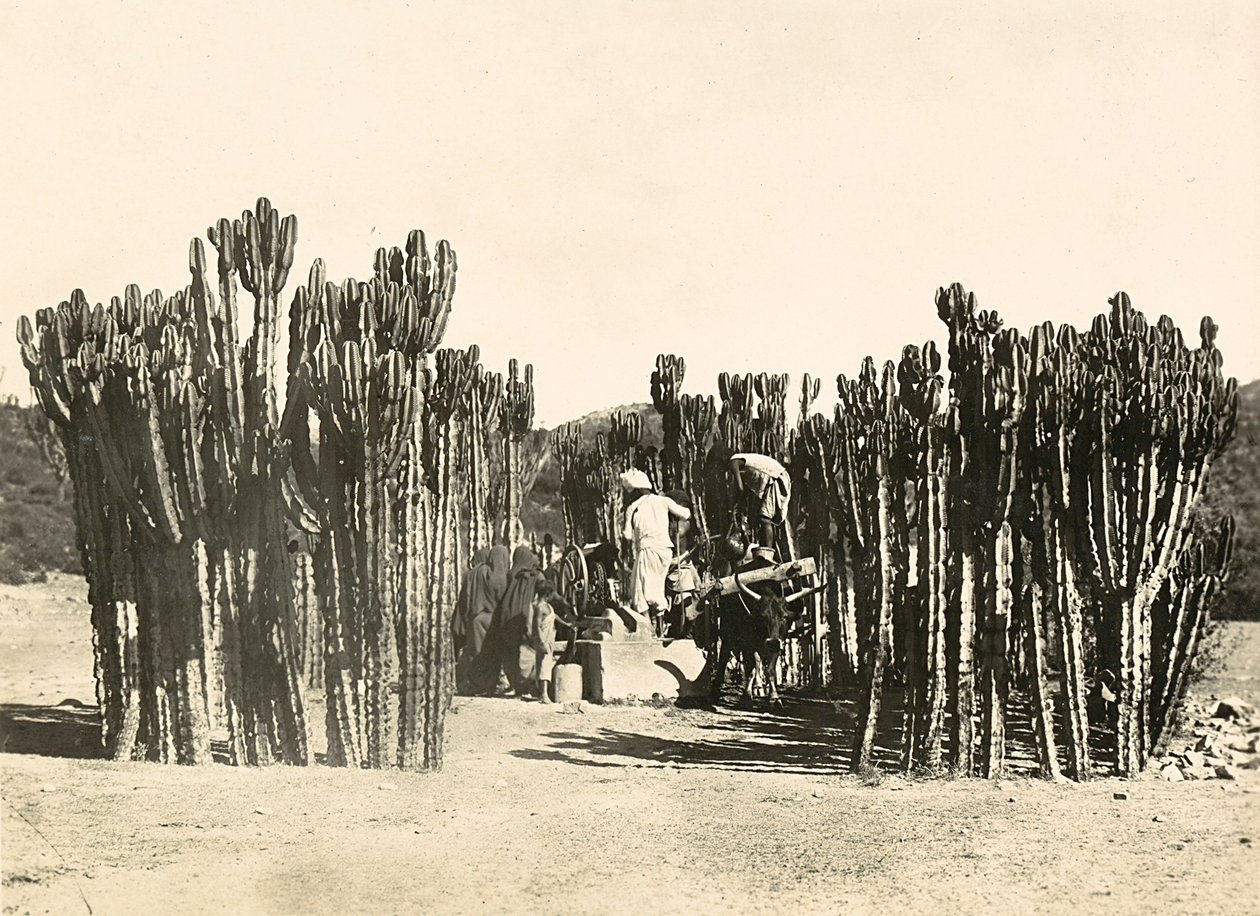 Faşist çağda 