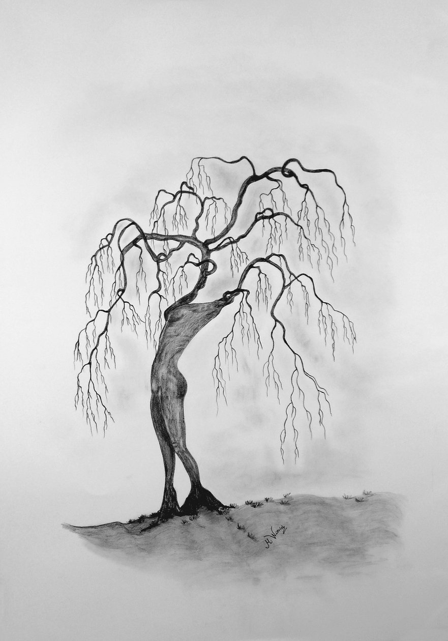 Ağaç ölüyor 3 by Monika Wittrich
