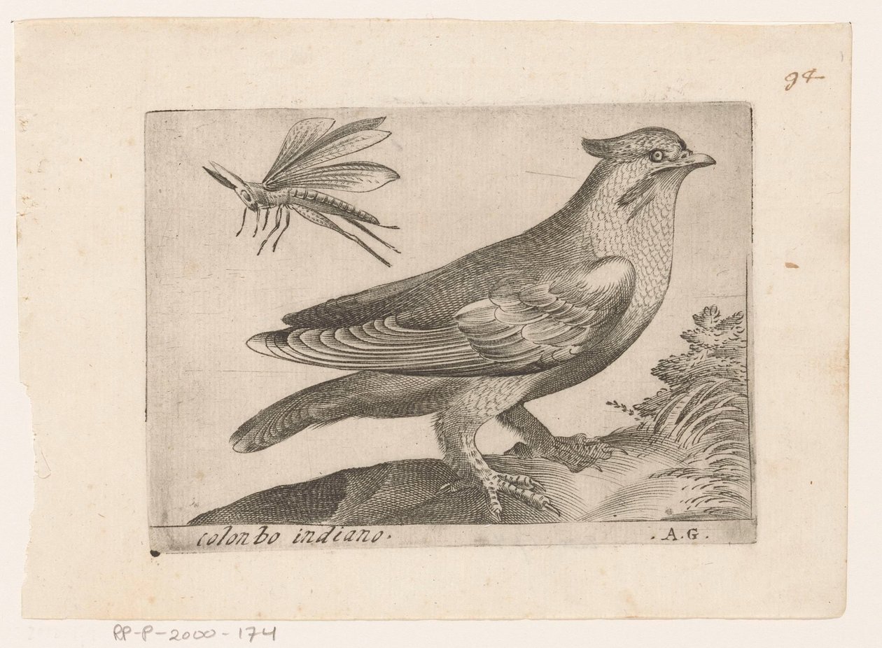Pestvogel (Bombycilla garrulus) Colonbo indian (nesne üzerindeki başlık) Vogels (dizi adı) by Monogrammist AG