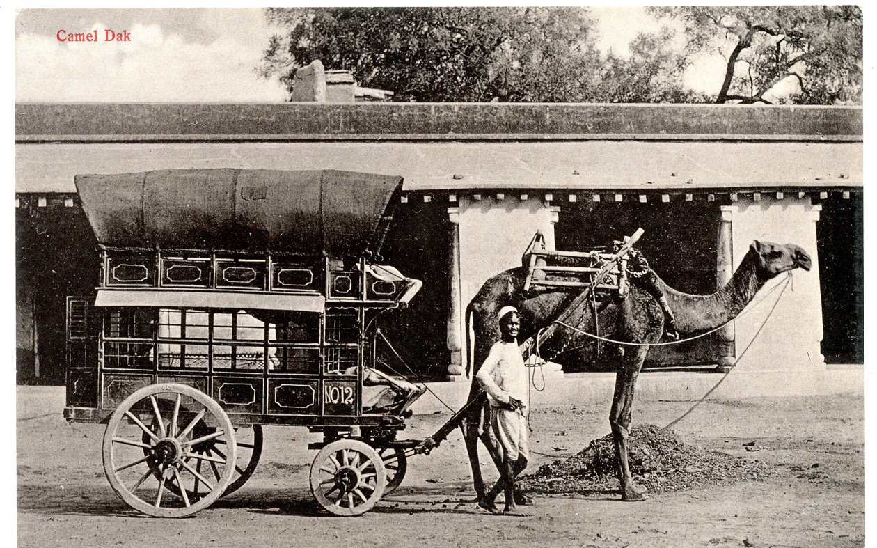 Camel Dak, c.1911-12 (sepya fotoğrafı) by Moorli Dhur and Sons