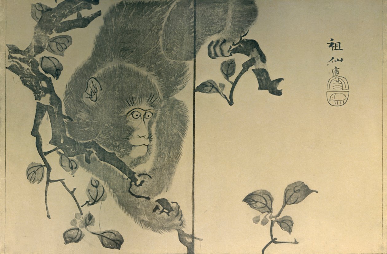 Maymun, 1815, 1924. by Mori Sosen