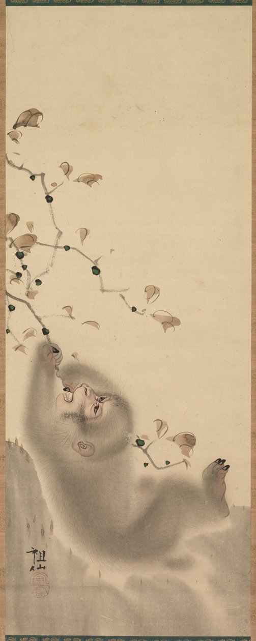 Dalda Asılı Maymun, 1780. by Mori Sosen