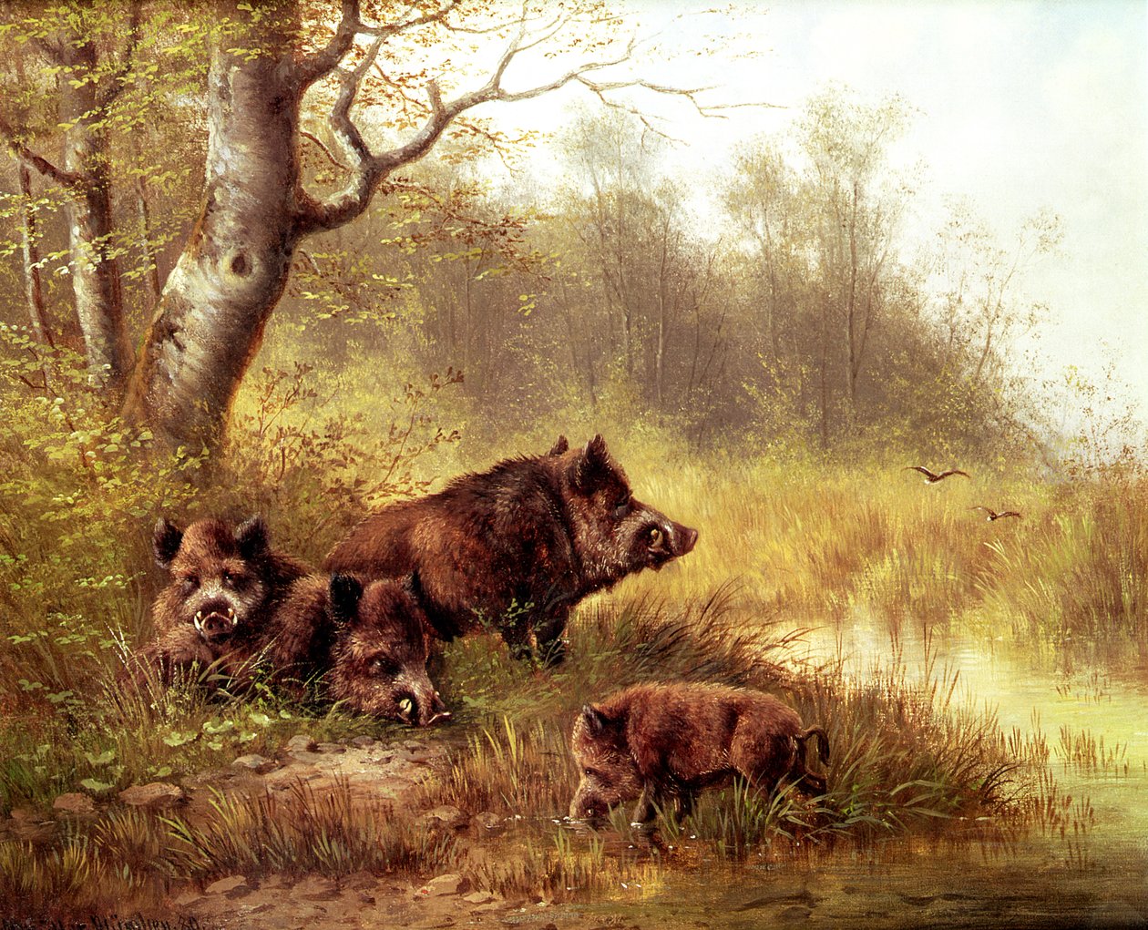 Kara Ormanda Yaban Domuzu, 1880 by Moritz Muller