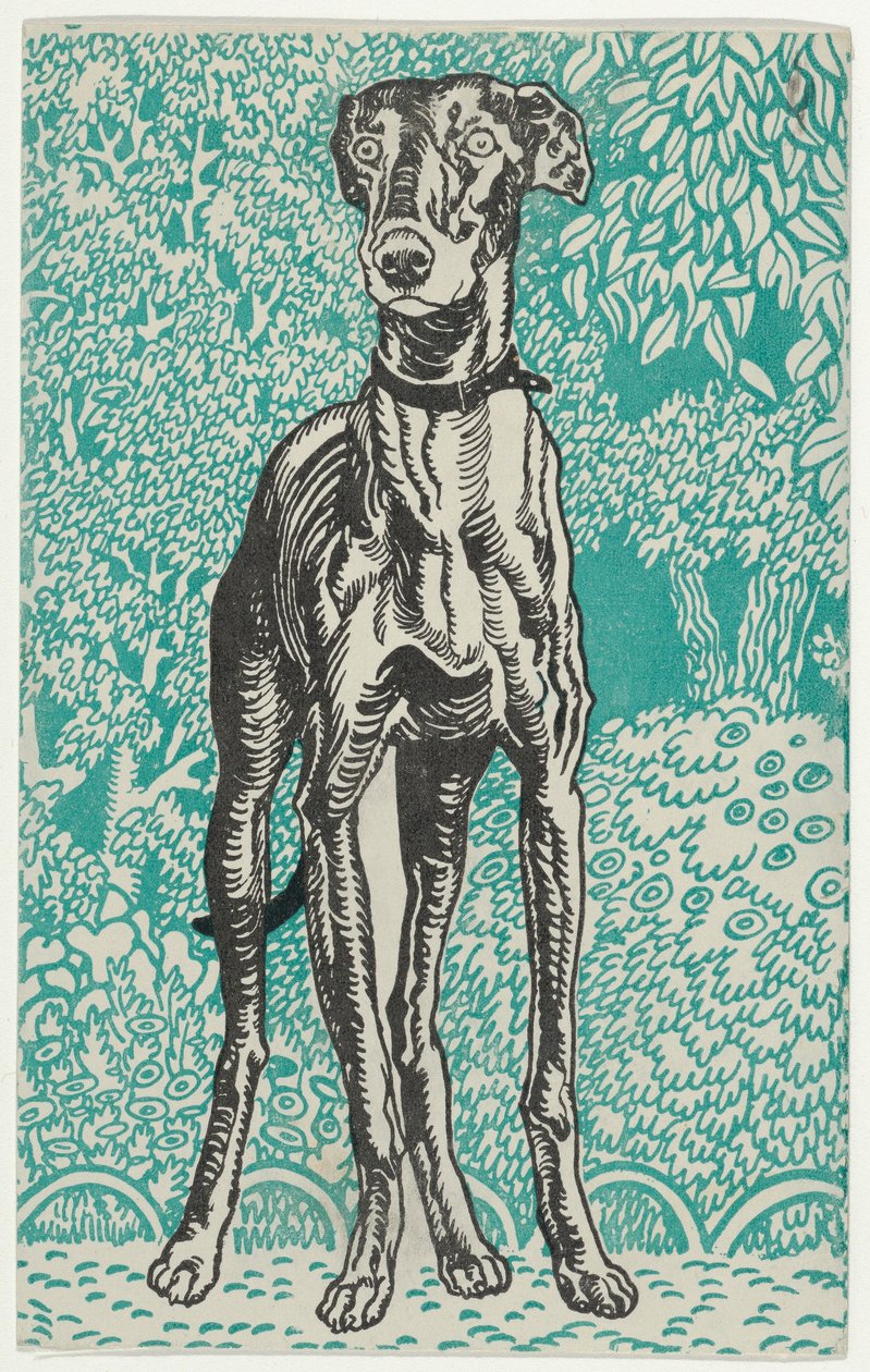 Tazı, 1912. by Moritz Jung