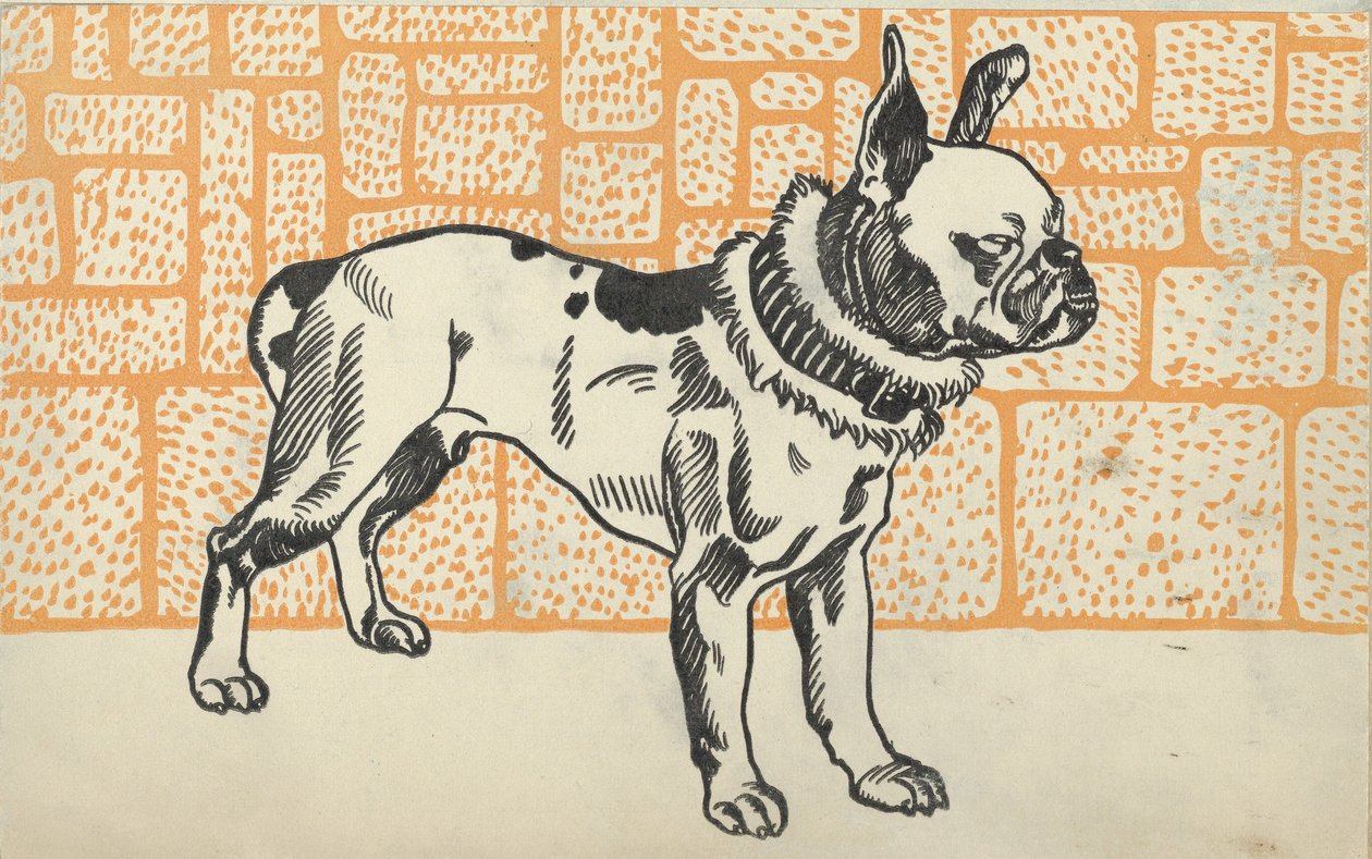 Pitbull Teriyeri, 1912. by Moritz Jung