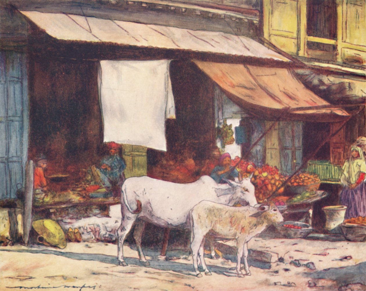 Meyve Pazarından Bir Köşe, Delhi, 1905 by Mortimer Ludington Menpes