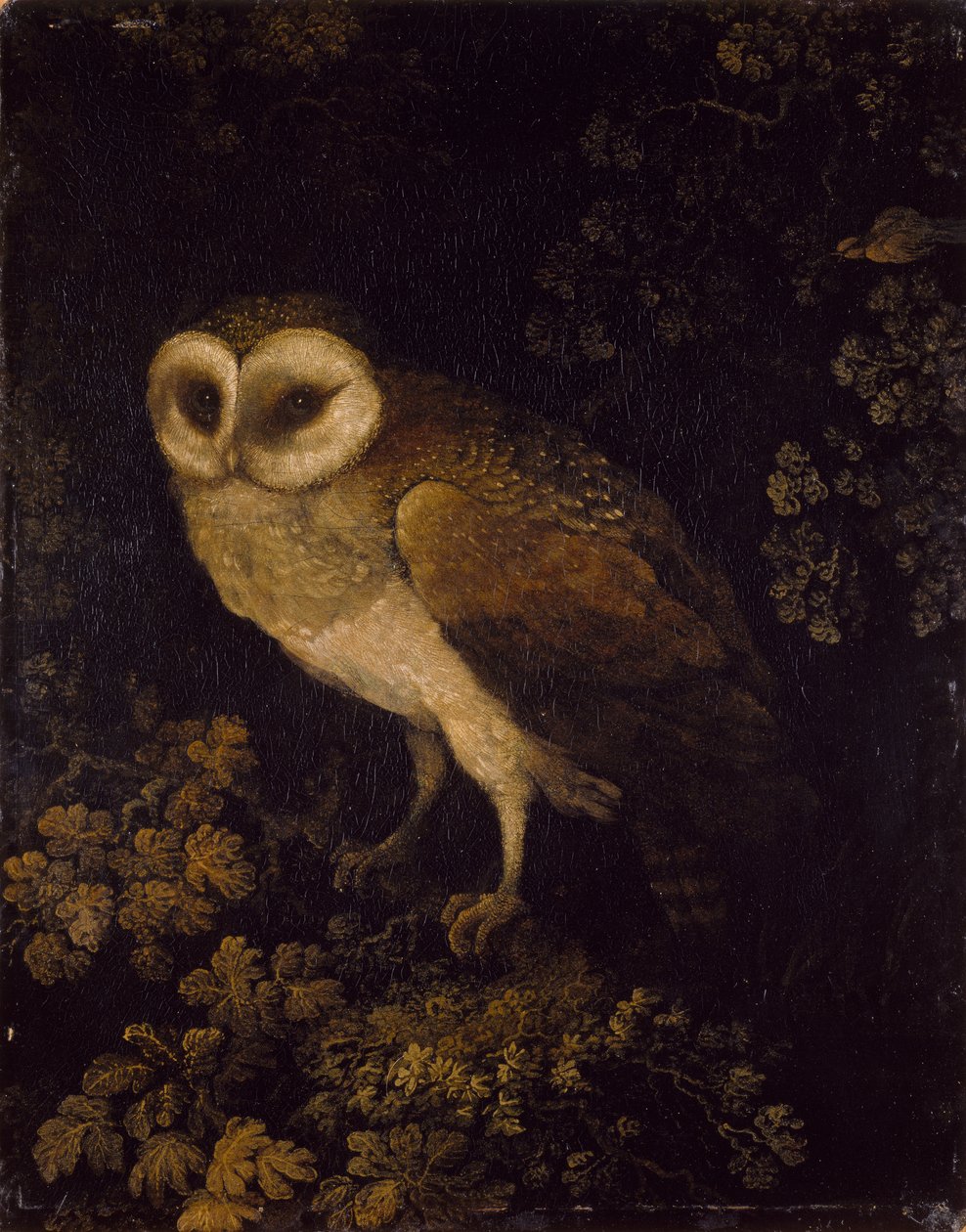 Baykuş, 1780-90 by Moses Haughton