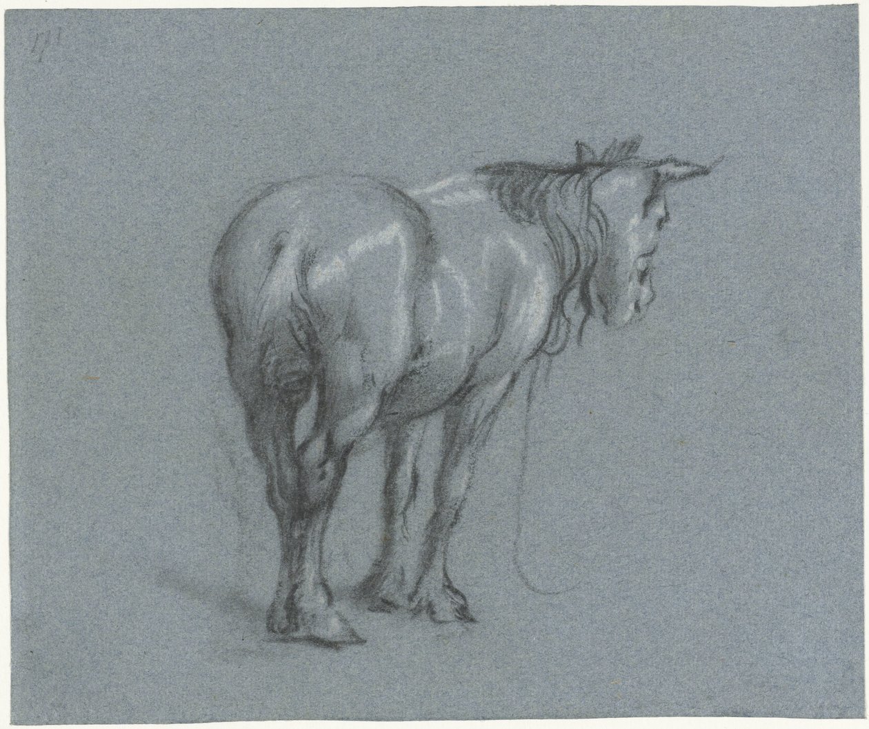 Bir atın arkadan sağa doğru incelenmesi Ayakta duran beygirler (seri başlığı) by Moses Ter Borch