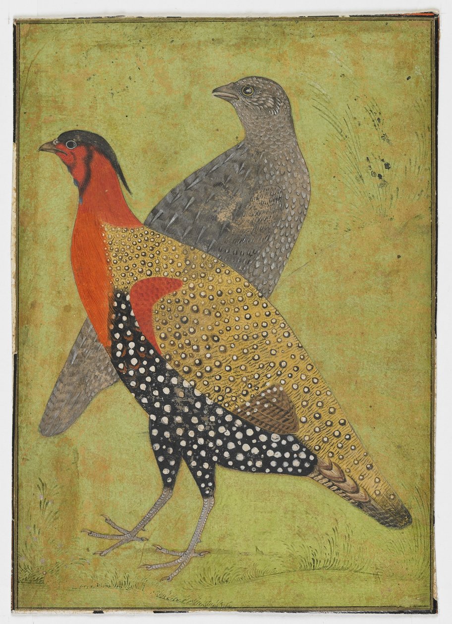 İki sülün, Resim, 17. yüzyılın başları by Mughal School